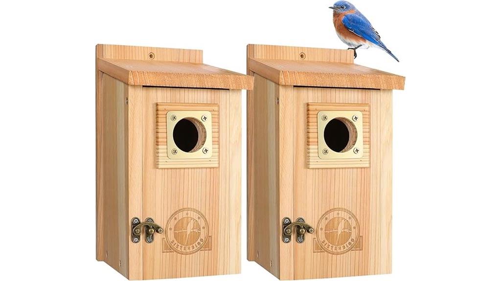 dual outdoor bird house set
