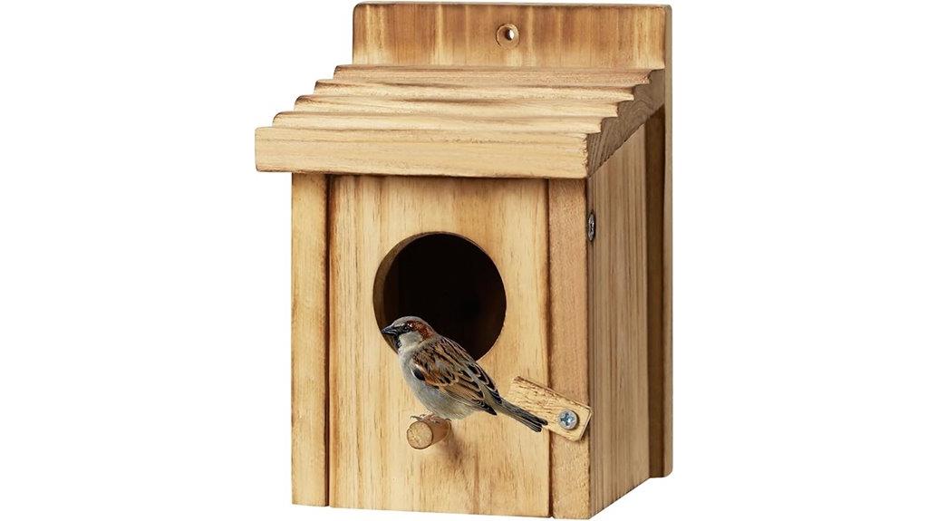hummingbird small bird house