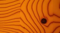 wood grain pattern identification