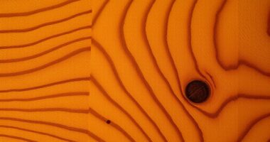 wood grain pattern identification