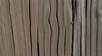 wood moisture level importance