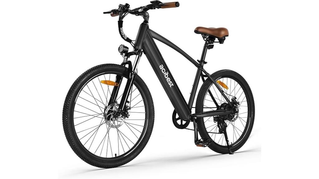 adult electric bicycle