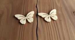 butterfly keys vs glue