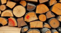 choose non toxic firewood