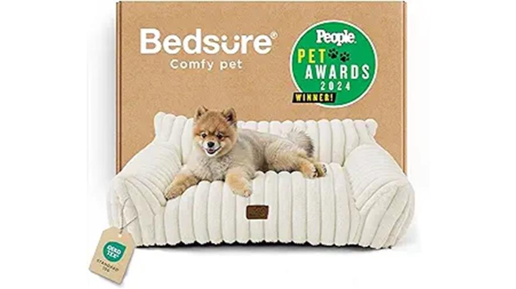 cute cat pet couch