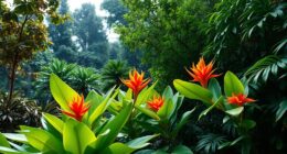 differences in tropical and temperate species