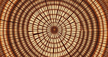 end grain wood identification