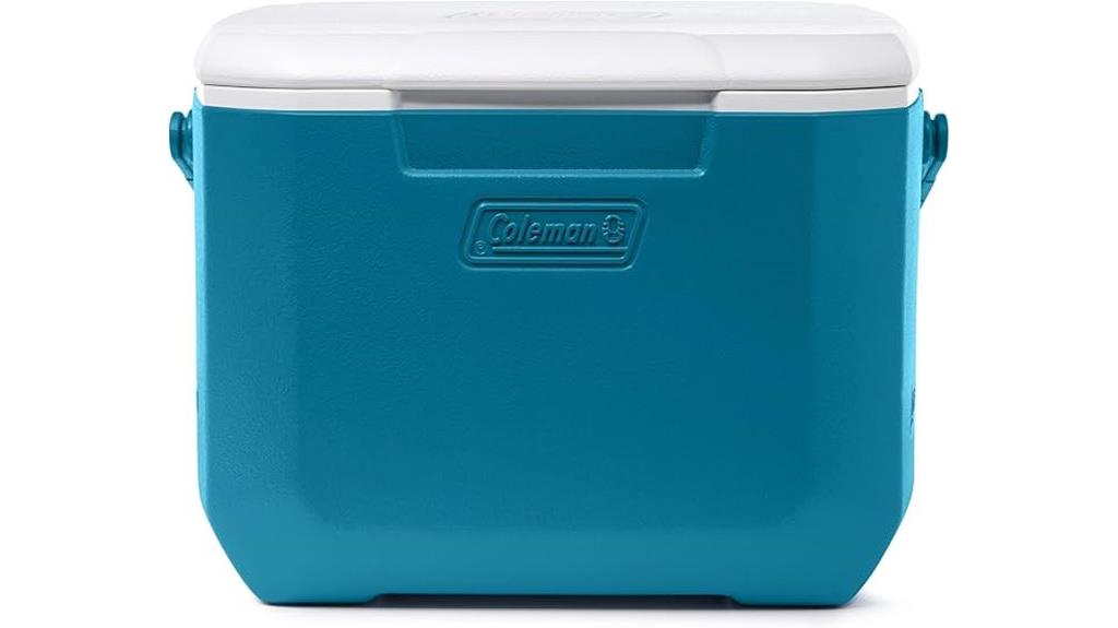 large 16 quart insulated cooler