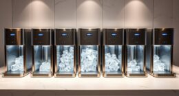luxury ice machines guide