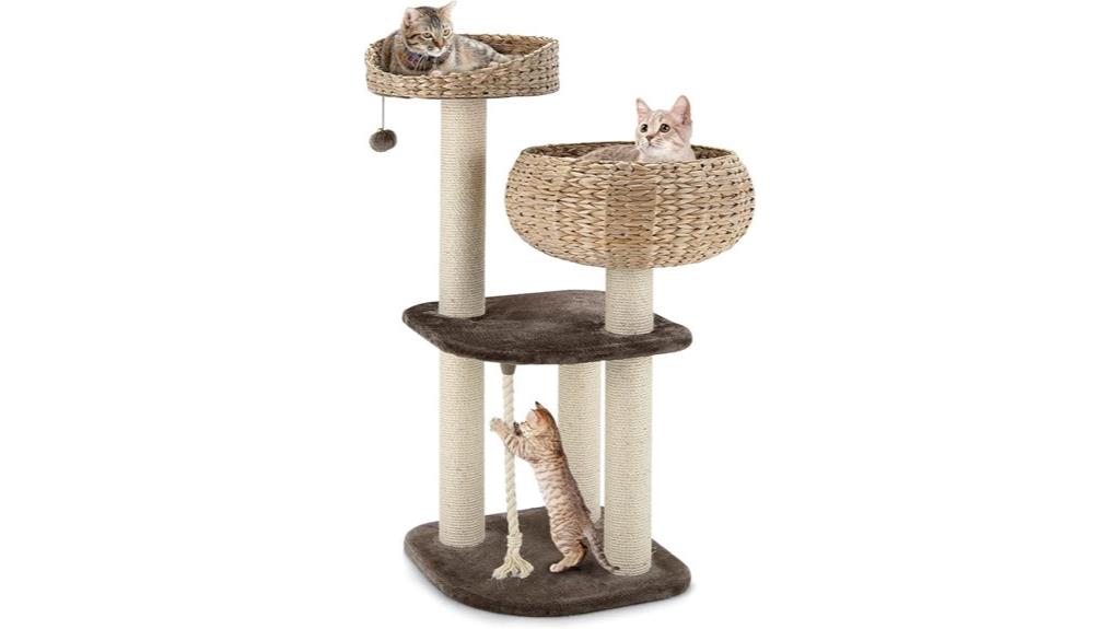 modern indoor cat tree