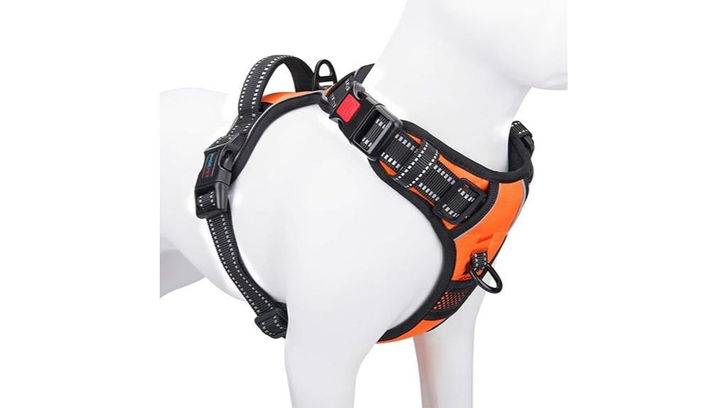 reflective orange medium harness