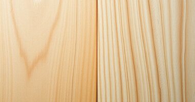 soft and hard maple grains