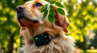 top gps dog collars