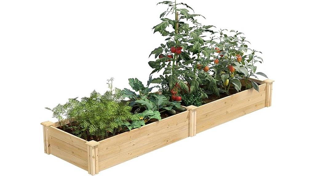 cedar raised garden beds