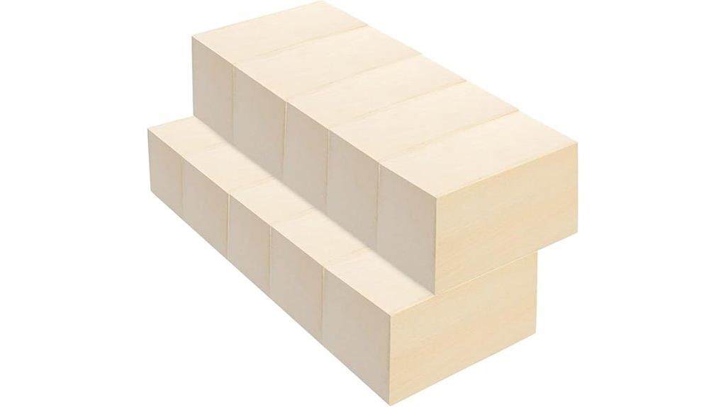 ten pack basswood blocks