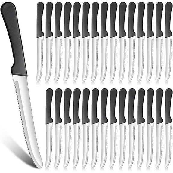 Zhehao 30 Pack Stainless Steel Serrated Steak Knives