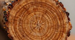 end grain importance in identification