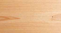 identifying veneer before repair