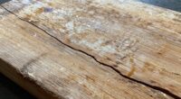 improper cleaning causes warping