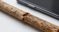 traditional tools outperform apps