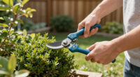 13 Best Low-Maintenance Gardening Tools in 2026