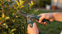 15 Best Garden Pruners for Clean, Comfortable Cuts in 2026