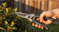15 Best Garden Pruning Shears for Cleaner, Easier Cuts in 2026