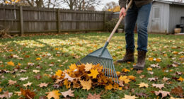 Goodbye Regular Rakes: The Clever Leaf Removal Tool That 'Almost Makes Work Fun'